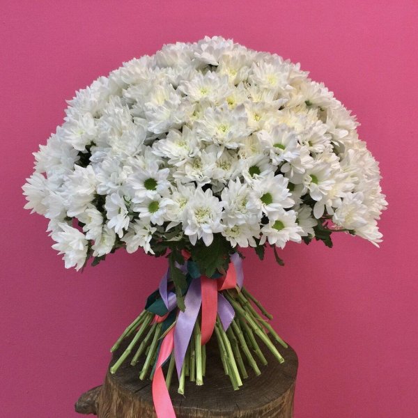 кустовые хризантемы