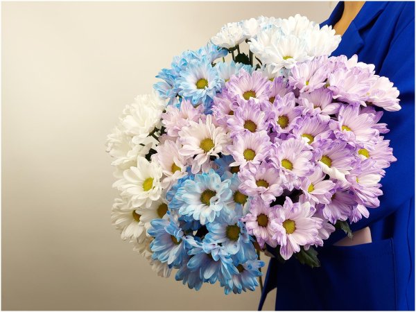 кустовые хризантемы