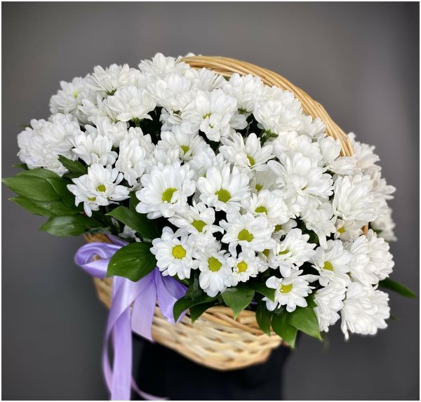 хризантема ромашковая белая