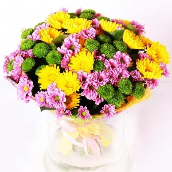 хризантемы кустовая