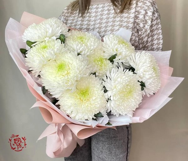 хризантема одноголовая антонов букет