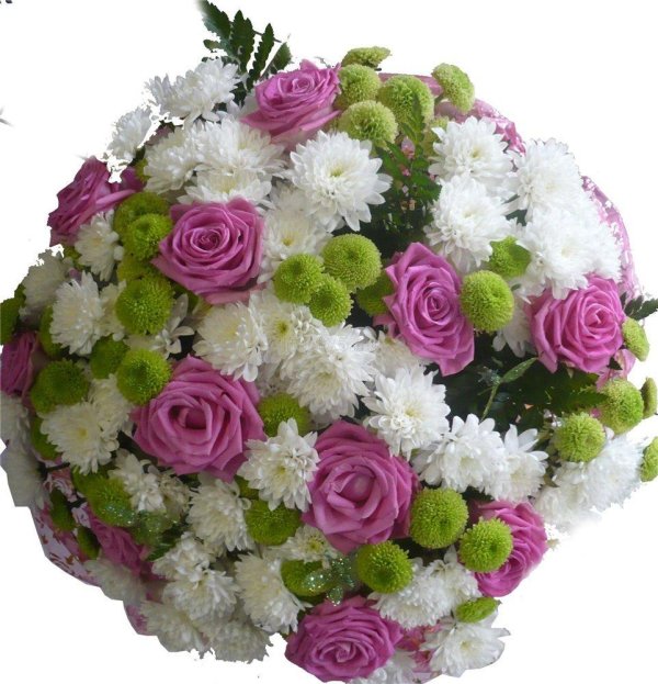 хризантема кустовая 5шт