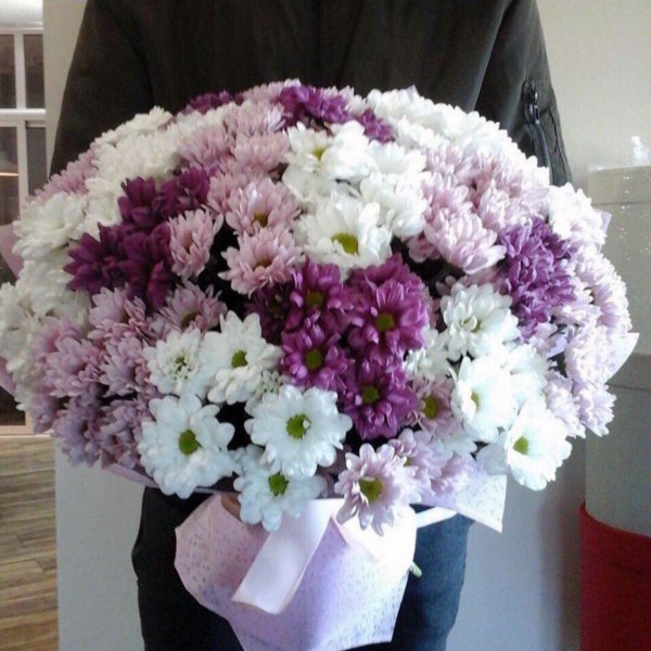 кустовые хризантемы