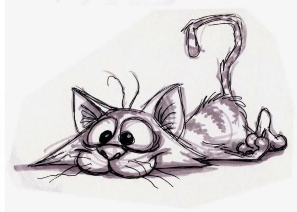 мультяшный кот