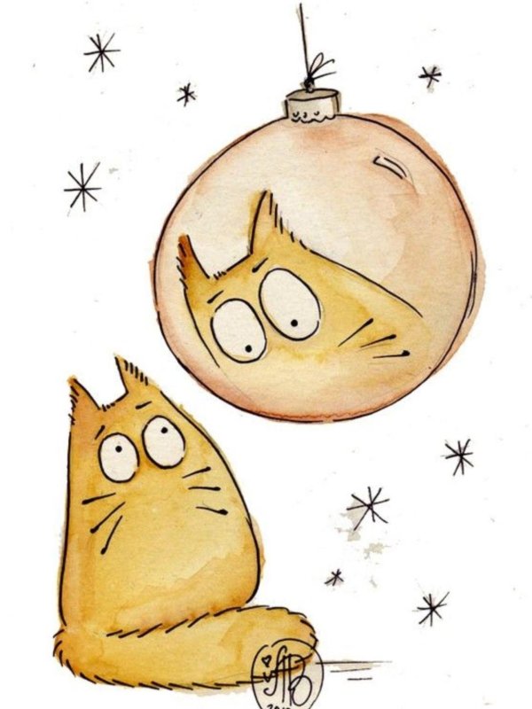 коты марии ван брюгген