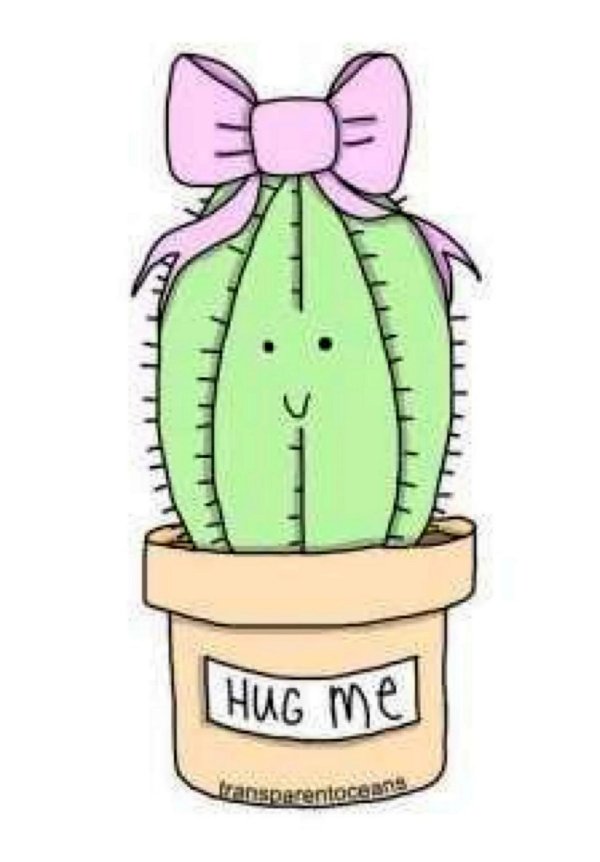 милые кактусы