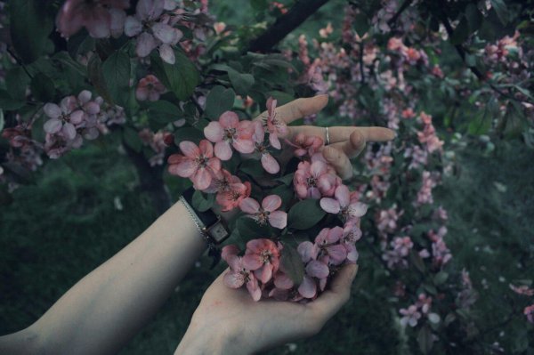 гринкор эстетика