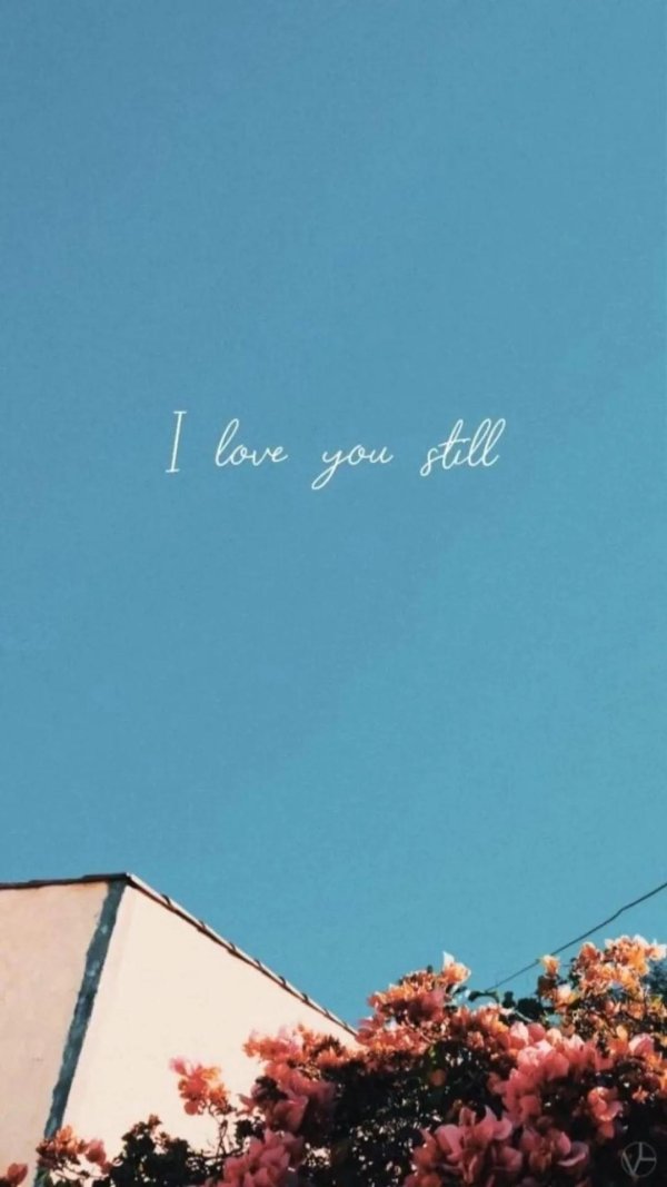 love you still