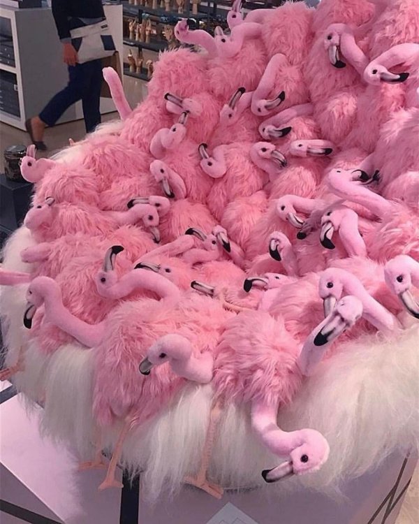 pink flamingo