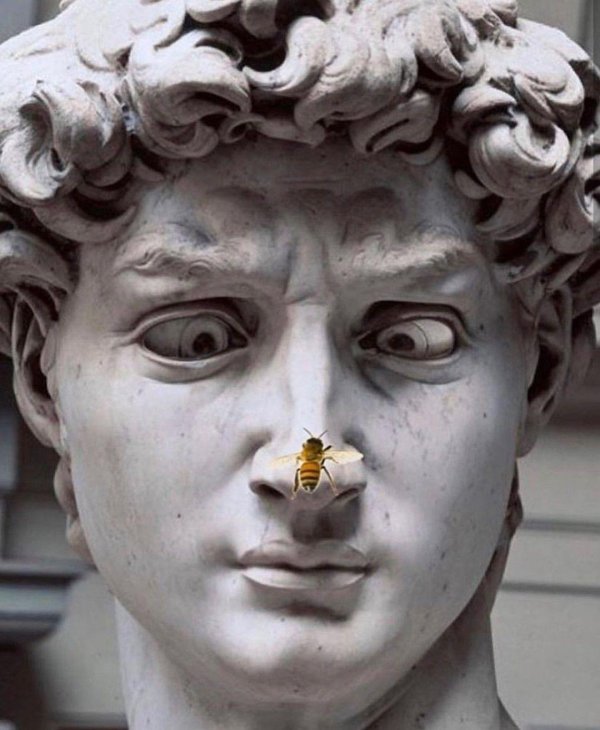 давида микеланджело