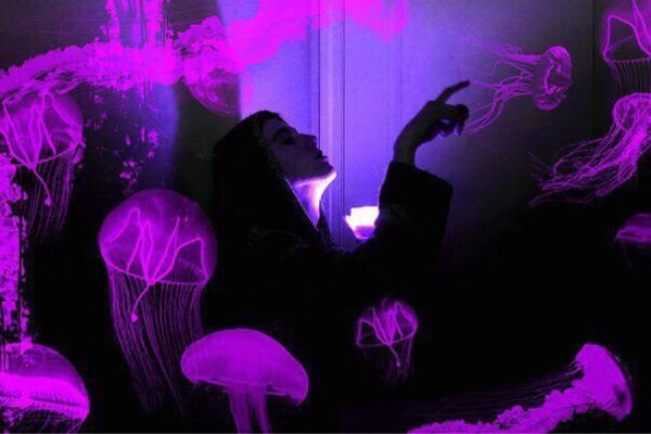 фиолетовые сохры