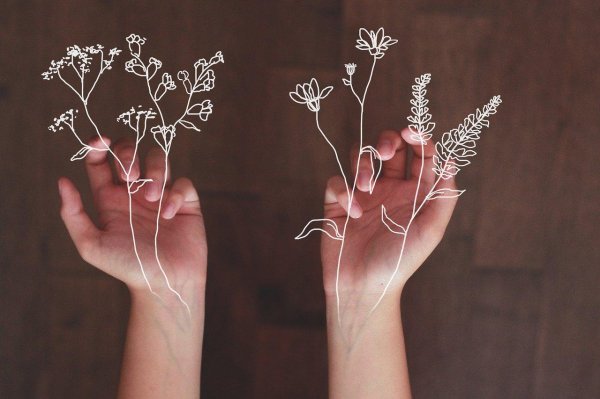 эстетичный цветок