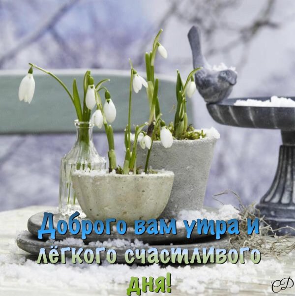 пожелание с добрым весенним утром