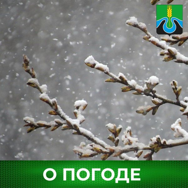 снег весной