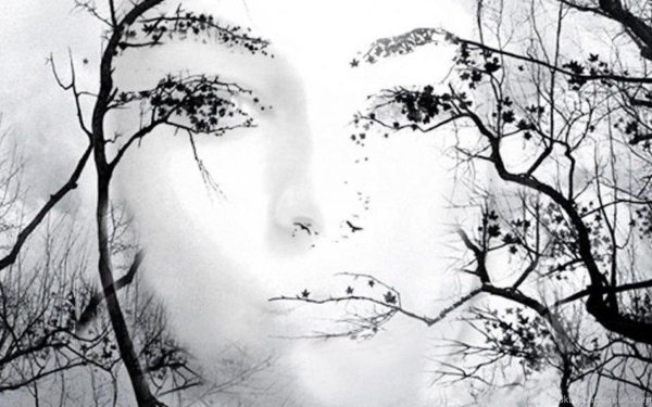 картины иллюзии