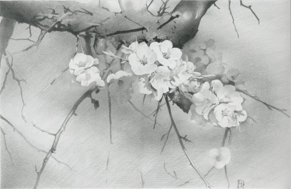 суйбокуга японская живопись тушью