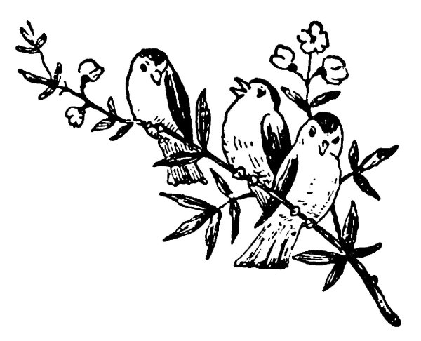 рисунок птица на ветке