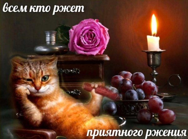 с добрым вечером открытка