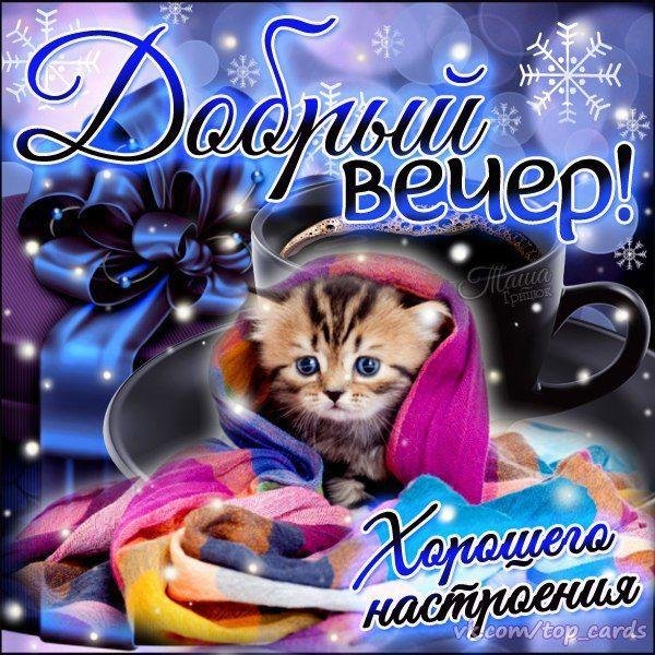 открытка с добрым вечером красивые