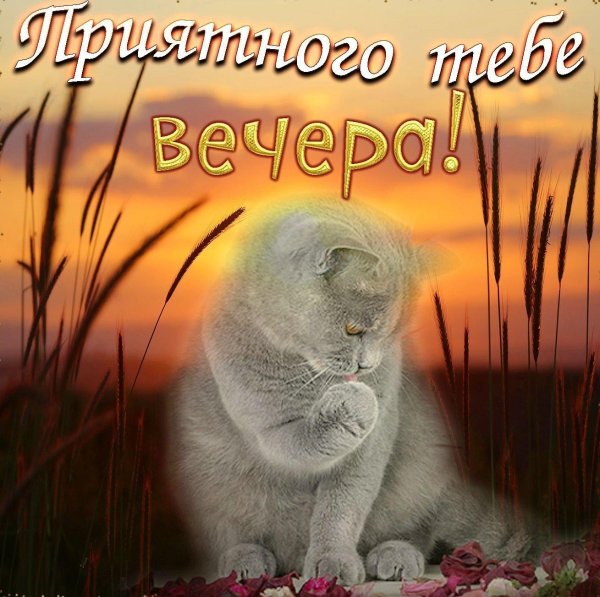 чудесного вечера