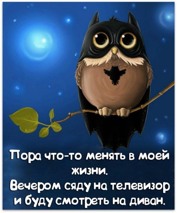 доброй ночи сова