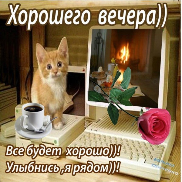прикольные пожелания хорошего вечера