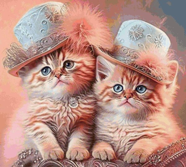 очаровательные котята