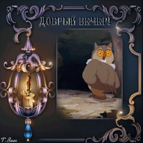 добрый вечер сова