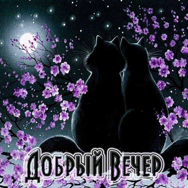 спокойной ночи открытка