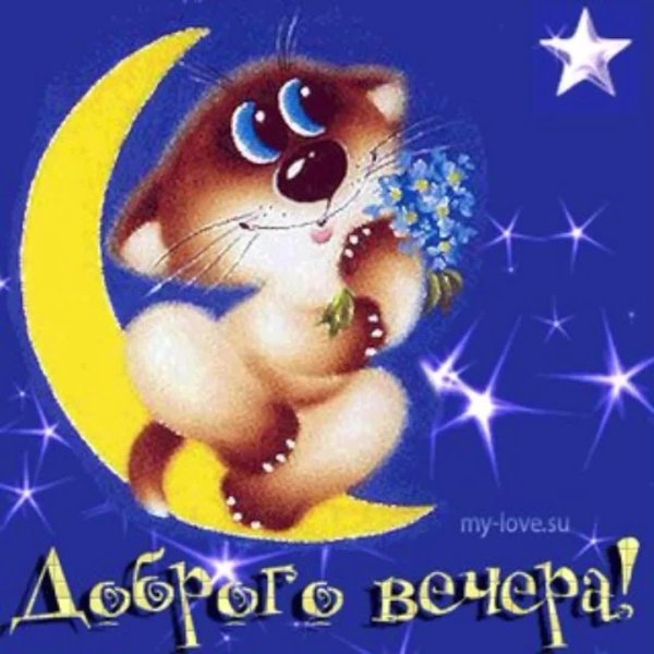 открытки с добрым вечером бесплатно веселые