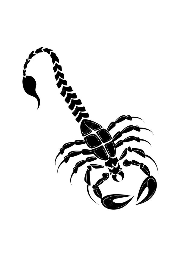 скорпион вектор