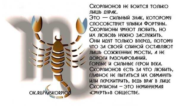 скорпион характеристика