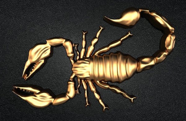 scorpion 3d model