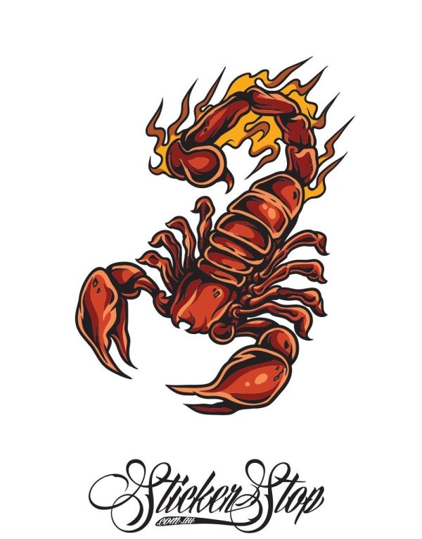 наклейка скорпион