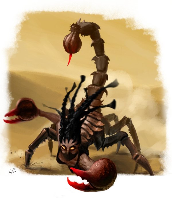 арахнид скорпион