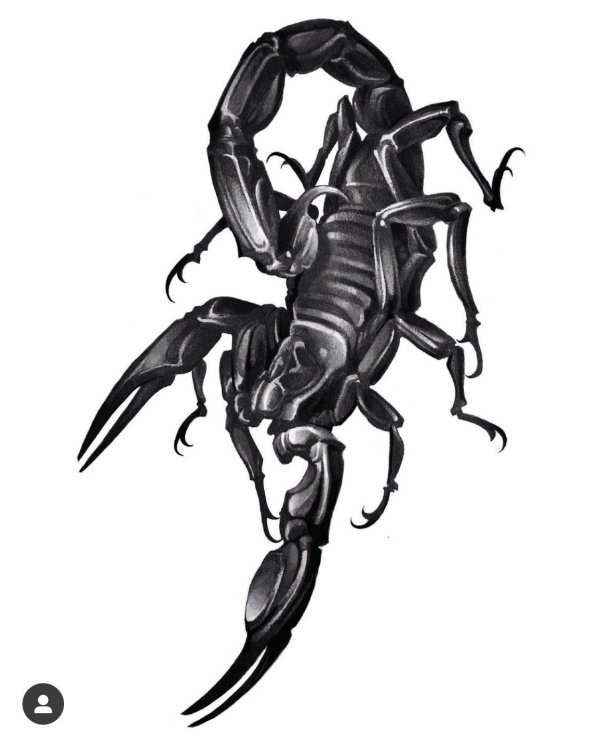 скорпион татуировка