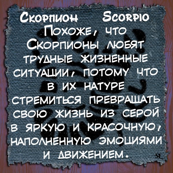Прикольные скорпион