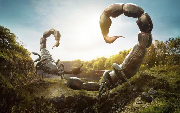 огромный скорпион