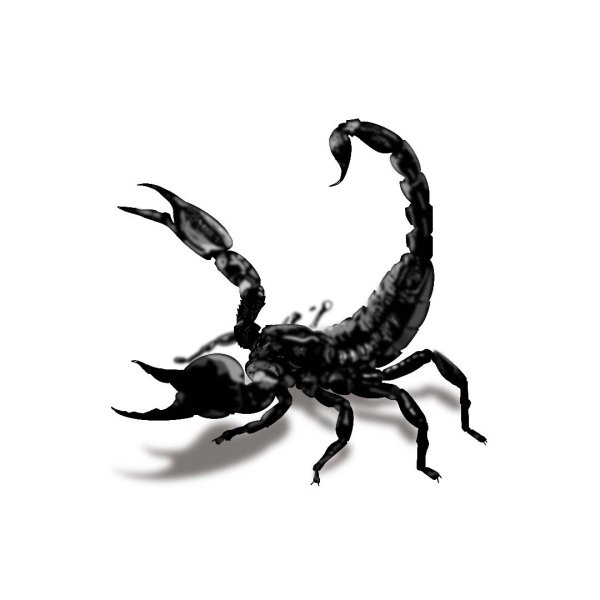 черный скорпион  black scorpion 1995