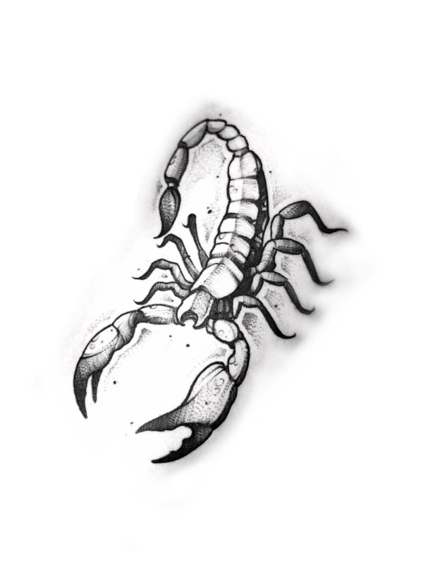 скорпион рисунки