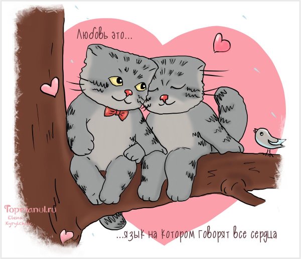 влюбленный котик