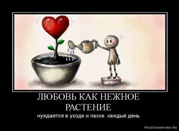 любовь со смыслом