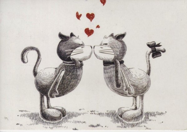 влюбленные котики