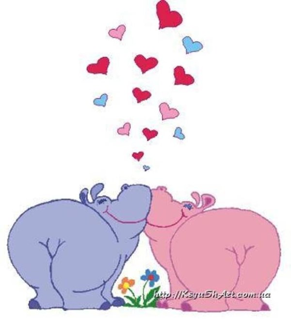 любимый бегемот