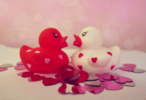 уточка резиновая