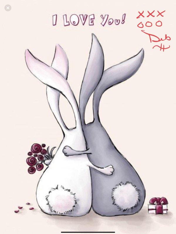 любимый зайчик