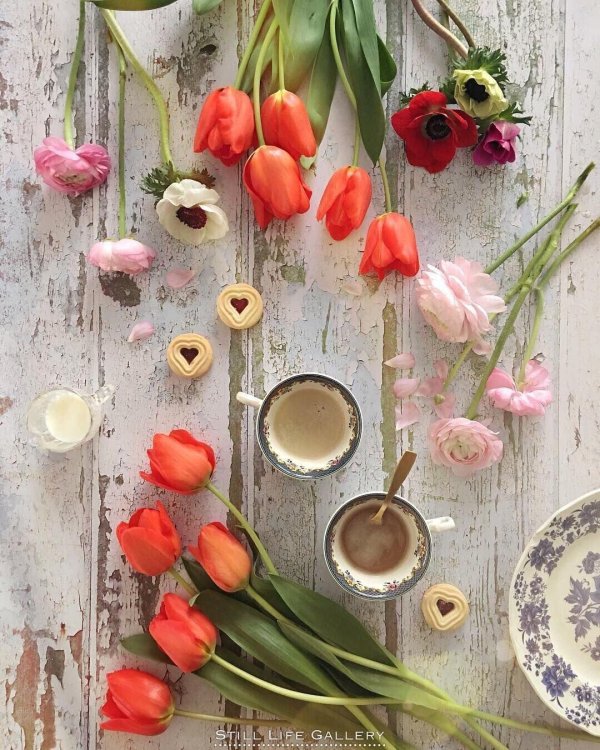 весна пинтерест