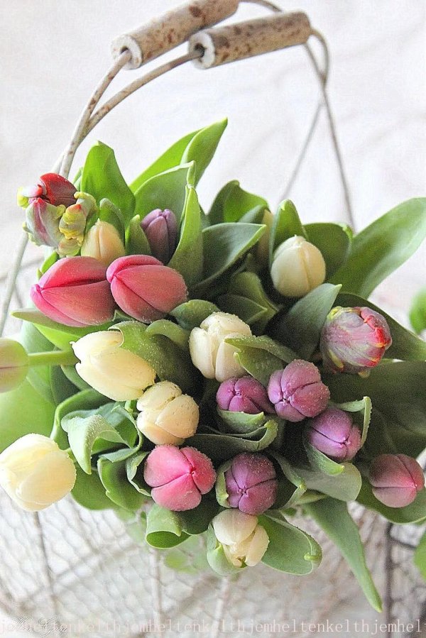 букет весенний