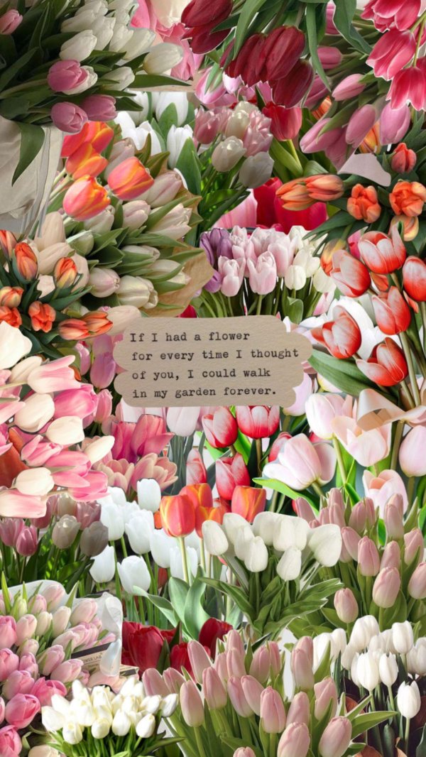 охапка тюльпанов