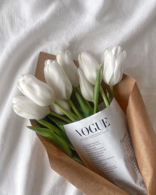 white tulip